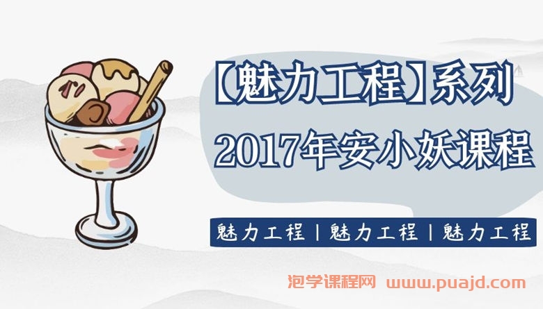 【魅力工程】2017年安小妖